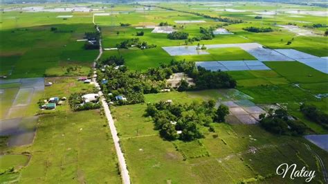 Lupi, San Fernando, Camarines Sur Profile – PhilAtlas.